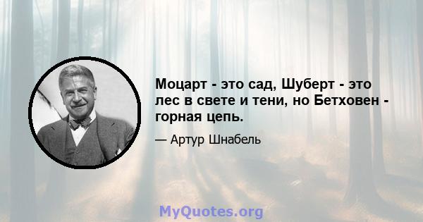 Моцарт - это сад, Шуберт - это лес в свете и тени, но Бетховен - горная цепь.