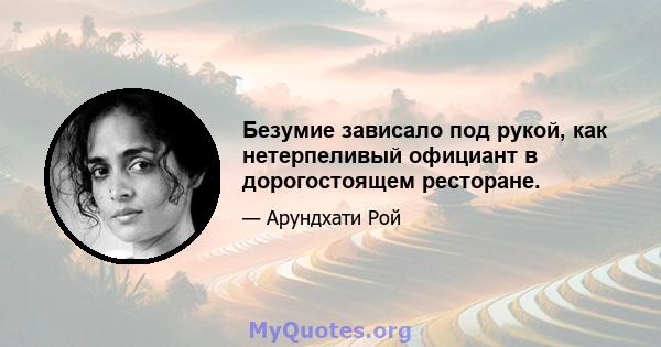 Безумие зависало под рукой, как нетерпеливый официант в дорогостоящем ресторане.