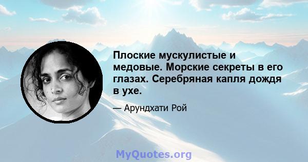 Плоские мускулистые и медовые. Морские секреты в его глазах. Серебряная капля дождя в ухе.