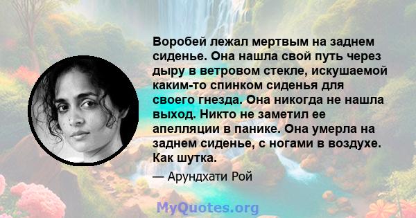 Воробей лежал мертвым на заднем сиденье. Она нашла свой путь через дыру в ветровом стекле, искушаемой каким-то спинком сиденья для своего гнезда. Она никогда не нашла выход. Никто не заметил ее апелляции в панике. Она