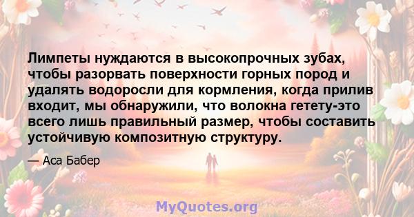 Лимпеты нуждаются в высокопрочных зубах, чтобы разорвать поверхности горных пород и удалять водоросли для кормления, когда прилив входит, мы обнаружили, что волокна гетету-это всего лишь правильный размер, чтобы