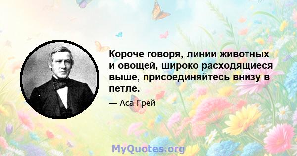 Короче говоря, линии животных и овощей, широко расходящиеся выше, присоединяйтесь внизу в петле.