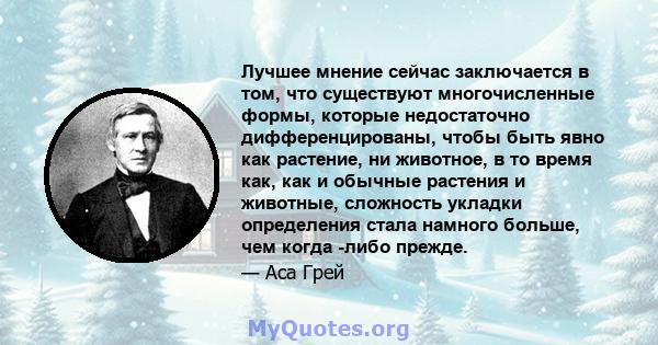 Лучшее мнение сейчас заключается в том, что существуют многочисленные формы, которые недостаточно дифференцированы, чтобы быть явно как растение, ни животное, в то время как, как и обычные растения и животные, сложность 