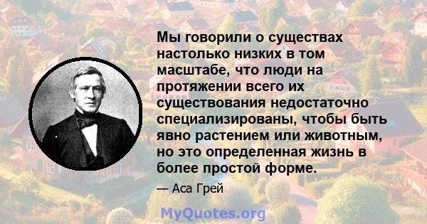 Мы говорили о существах настолько низких в том масштабе, что люди на протяжении всего их существования недостаточно специализированы, чтобы быть явно растением или животным, но это определенная жизнь в более простой