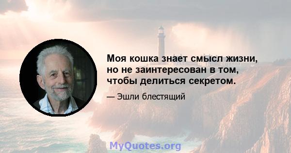 Моя кошка знает смысл жизни, но не заинтересован в том, чтобы делиться секретом.