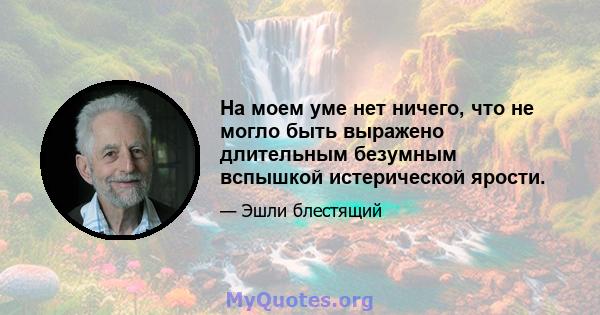 На моем уме нет ничего, что не могло быть выражено длительным безумным вспышкой истерической ярости.