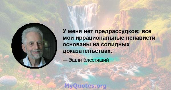 У меня нет предрассудков: все мои иррациональные ненависти основаны на солидных доказательствах.