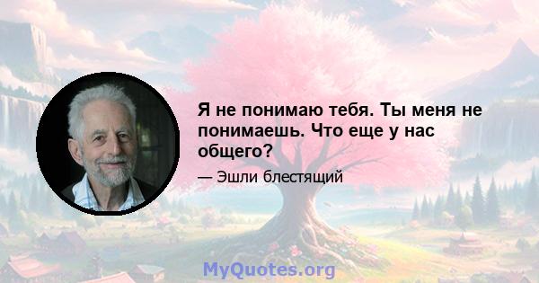 Я не понимаю тебя. Ты меня не понимаешь. Что еще у нас общего?