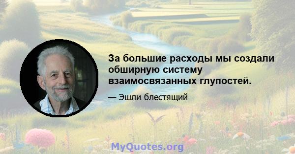 За большие расходы мы создали обширную систему взаимосвязанных глупостей.