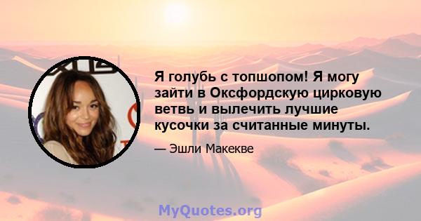 Я голубь с топшопом! Я могу зайти в Оксфордскую цирковую ветвь и вылечить лучшие кусочки за считанные минуты.