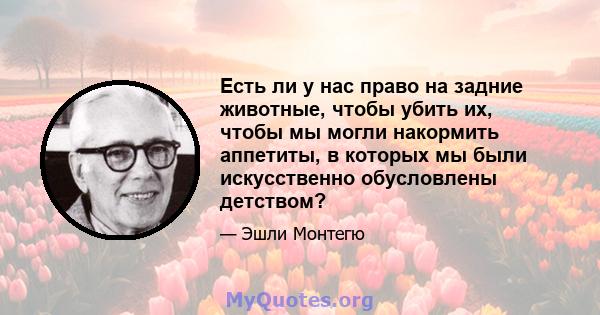 Есть ли у нас право на задние животные, чтобы убить их, чтобы мы могли накормить аппетиты, в которых мы были искусственно обусловлены детством?