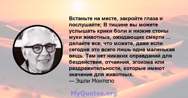 Встаньте на месте, закройте глаза и послушайте; В тишине вы можете услышать крики боли и низкие стоны муки животных, ожидающих смерти ... делайте все, что можете, даже если сегодня это всего лишь одна маленькая вещь.