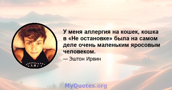 У меня аллергия на кошек, кошка в «Не остановке» была на самом деле очень маленьким яросовым человеком.