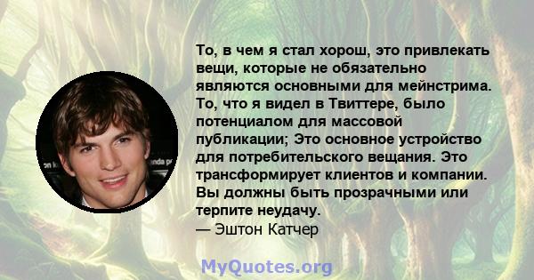 То, в чем я стал хорош, это привлекать вещи, которые не обязательно являются основными для мейнстрима. То, что я видел в Твиттере, было потенциалом для массовой публикации; Это основное устройство для потребительского