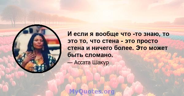 И если я вообще что -то знаю, то это то, что стена - это просто стена и ничего более. Это может быть сломано.