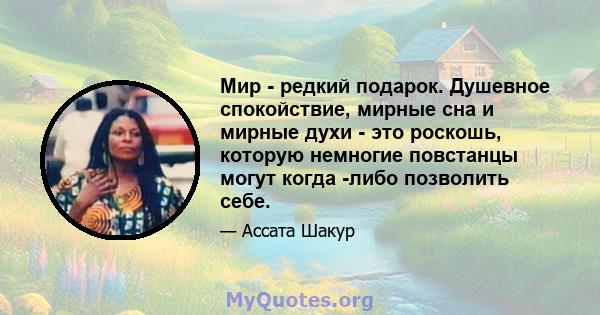 Мир - редкий подарок. Душевное спокойствие, мирные сна и мирные духи - это роскошь, которую немногие повстанцы могут когда -либо позволить себе.