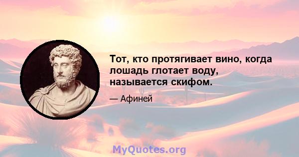 Тот, кто протягивает вино, когда лошадь глотает воду, называется скифом.