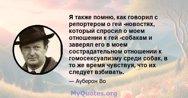 Я также помню, как говорил с репортером о гей -новостях, который спросил о моем отношении к гей -собакам и заверял его в моем сострадательном отношении к гомосексуализму среди собак, в то же время чувствуя, что их