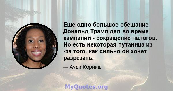 Еще одно большое обещание Дональд Трамп дал во время кампании - сокращение налогов. Но есть некоторая путаница из -за того, как сильно он хочет разрезать.