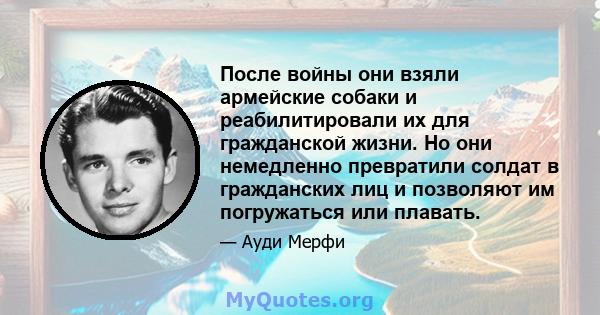 После войны они взяли армейские собаки и реабилитировали их для гражданской жизни. Но они немедленно превратили солдат в гражданских лиц и позволяют им погружаться или плавать.