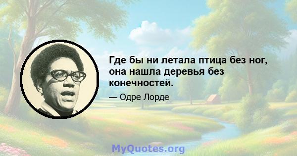 Где бы ни летала птица без ног, она нашла деревья без конечностей.