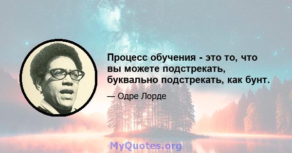 Процесс обучения - это то, что вы можете подстрекать, буквально подстрекать, как бунт.