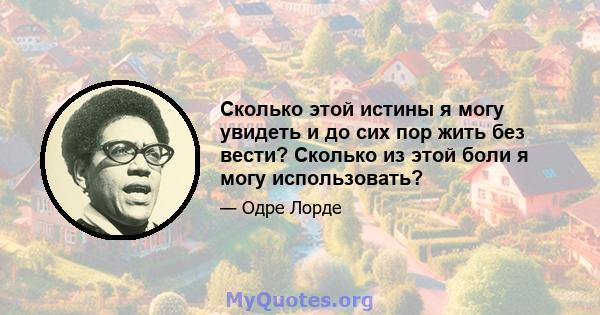 Сколько этой истины я могу увидеть и до сих пор жить без вести? Сколько из этой боли я могу использовать?