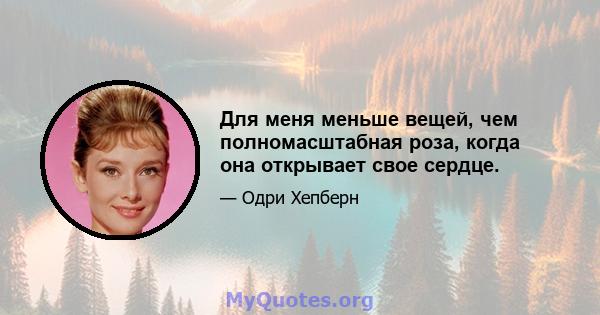 Для меня меньше вещей, чем полномасштабная роза, когда она открывает свое сердце.