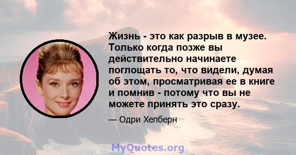 Жизнь - это как разрыв в музее. Только когда позже вы действительно начинаете поглощать то, что видели, думая об этом, просматривая ее в книге и помнив - потому что вы не можете принять это сразу.