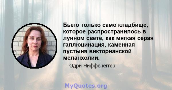 Было только само кладбище, которое распространилось в лунном свете, как мягкая серая галлюцинация, каменная пустыня викторианской меланхолии.