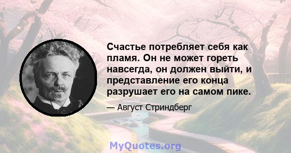 Счастье потребляет себя как пламя. Он не может гореть навсегда, он должен выйти, и представление его конца разрушает его на самом пике.