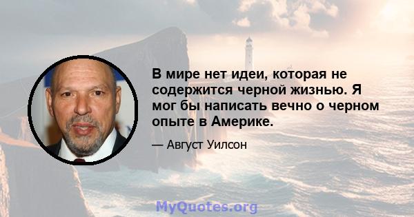 В мире нет идеи, которая не содержится черной жизнью. Я мог бы написать вечно о черном опыте в Америке.