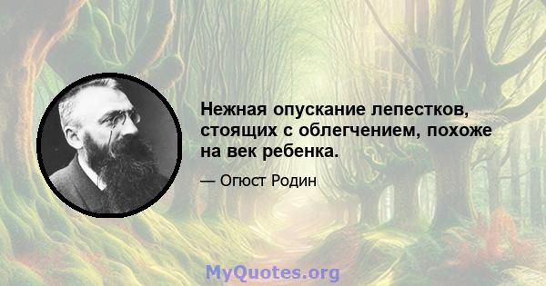 Нежная опускание лепестков, стоящих с облегчением, похоже на век ребенка.