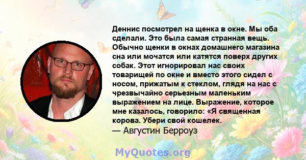 Деннис посмотрел на щенка в окне. Мы оба сделали. Это была самая странная вещь. Обычно щенки в окнах домашнего магазина сна или мочатся или катятся поверх других собак. Этот игнорировал нас своих товарищей по окне и