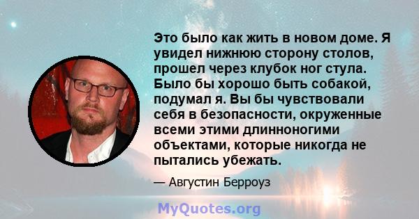 Это было как жить в новом доме. Я увидел нижнюю сторону столов, прошел через клубок ног стула. Было бы хорошо быть собакой, подумал я. Вы бы чувствовали себя в безопасности, окруженные всеми этими длинноногими