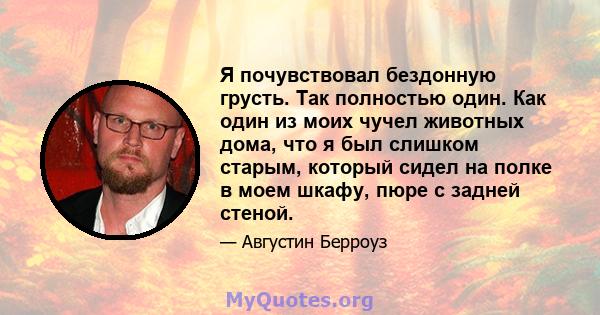 Я почувствовал бездонную грусть. Так полностью один. Как один из моих чучел животных дома, что я был слишком старым, который сидел на полке в моем шкафу, пюре с задней стеной.