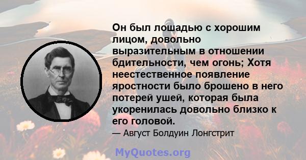 Он был лошадью с хорошим лицом, довольно выразительным в отношении бдительности, чем огонь; Хотя неестественное появление яростности было брошено в него потерей ушей, которая была укоренилась довольно близко к его