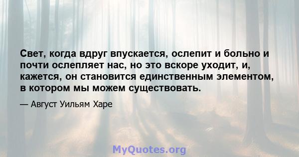 Свет, когда вдруг впускается, ослепит и больно и почти ослепляет нас, но это вскоре уходит, и, кажется, он становится единственным элементом, в котором мы можем существовать.