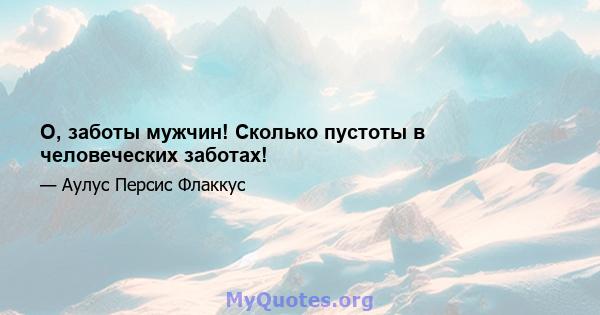 О, заботы мужчин! Сколько пустоты в человеческих заботах!