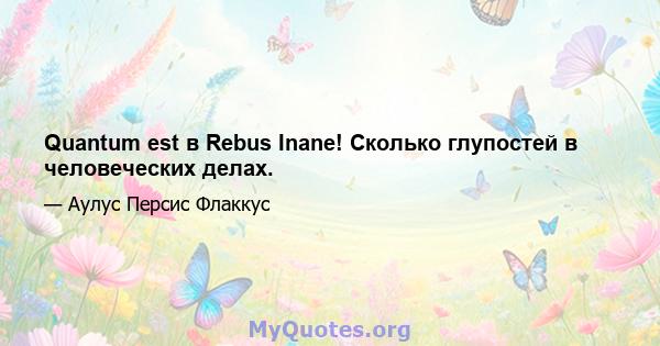 Quantum est в Rebus Inane! Сколько глупостей в человеческих делах.