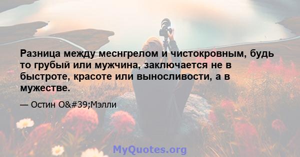 Разница между меснгрелом и чистокровным, будь то грубый или мужчина, заключается не в быстроте, красоте или выносливости, а в мужестве.