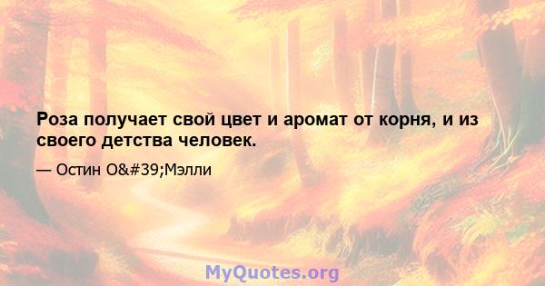 Роза получает свой цвет и аромат от корня, и из своего детства человек.