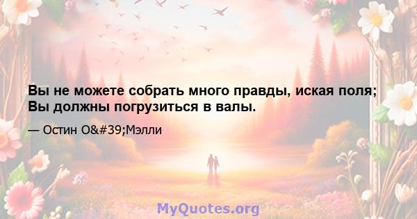 Вы не можете собрать много правды, иская поля; Вы должны погрузиться в валы.