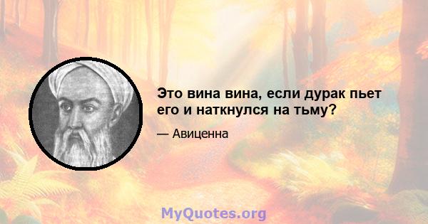 Это вина вина, если дурак пьет его и наткнулся на тьму?