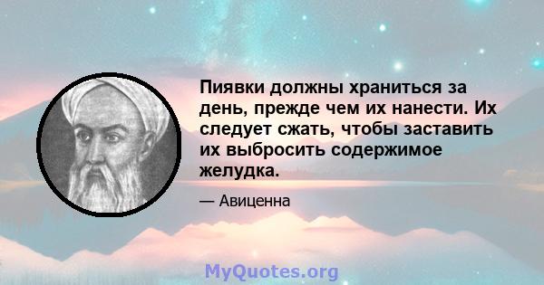 Пиявки должны храниться за день, прежде чем их нанести. Их следует сжать, чтобы заставить их выбросить содержимое желудка.