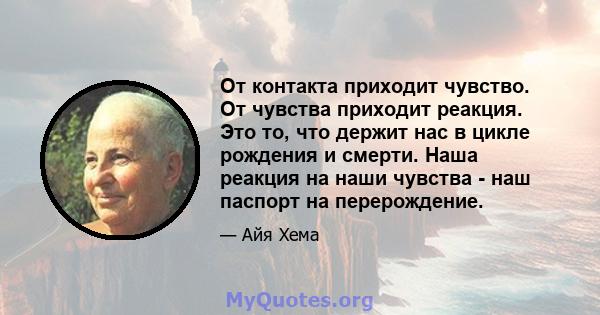 От контакта приходит чувство. От чувства приходит реакция. Это то, что держит нас в цикле рождения и смерти. Наша реакция на наши чувства - наш паспорт на перерождение.