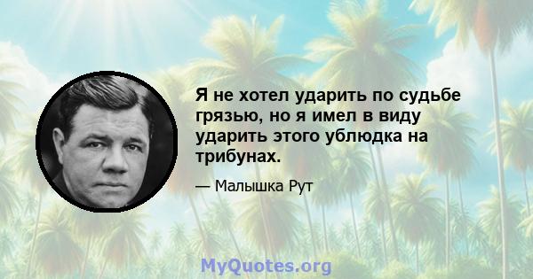 Я не хотел ударить по судьбе грязью, но я имел в виду ударить этого ублюдка на трибунах.