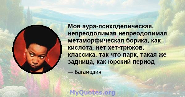 Моя аура-психоделическая, непреодолимая непреодолимая метаморфическая борика, как кислота, нет хет-трюков, классика, так что парк, такая же задница, как юрский период