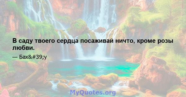 В саду твоего сердца посаживай ничто, кроме розы любви.