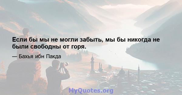 Если бы мы не могли забыть, мы бы никогда не были свободны от горя.